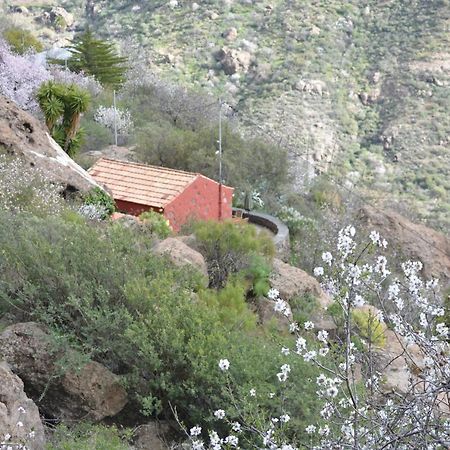 Casa Cueva El Pedregal Tejeda Villa Exterior foto