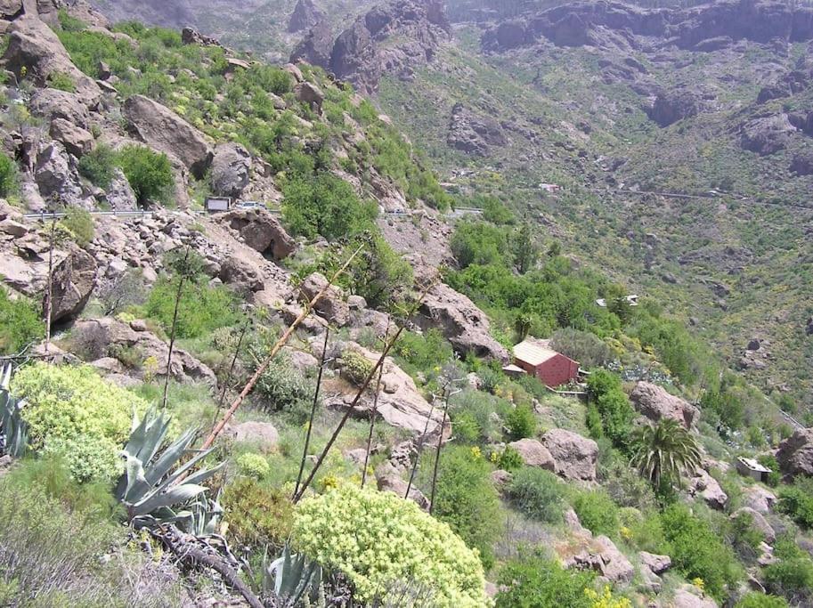 Casa Cueva El Pedregal Tejeda Villa Exterior foto