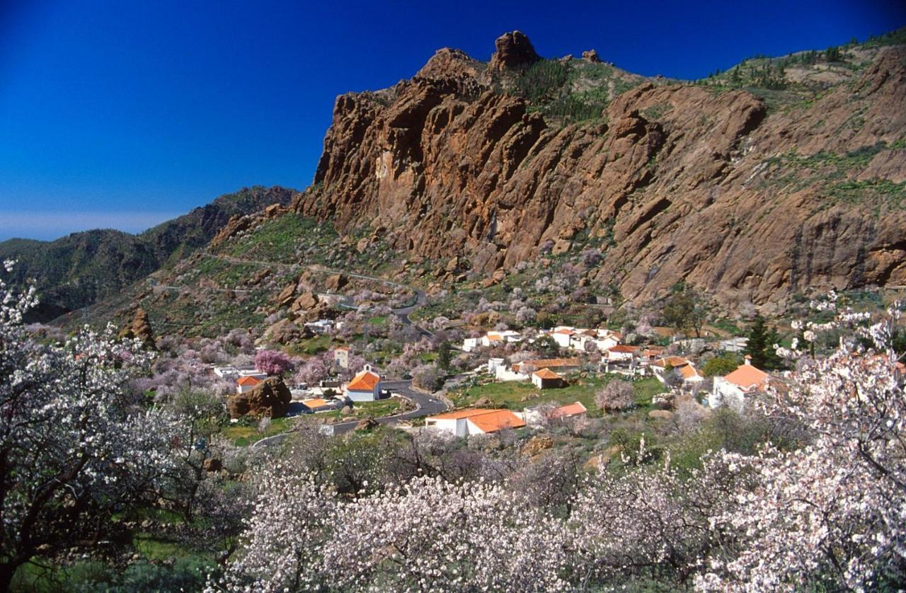 Casa Cueva El Pedregal Tejeda Villa Exterior foto